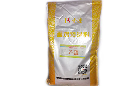 ����Ԥ����