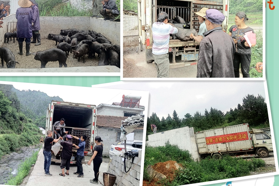 C:\Users\Administrator\Desktop\2018.05.16-236��ƶģʽ �������������\��ľ��.jpg